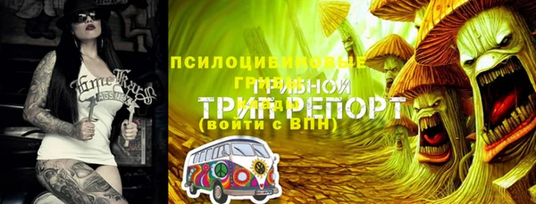 каннабис Верея
