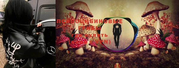 каннабис Верея