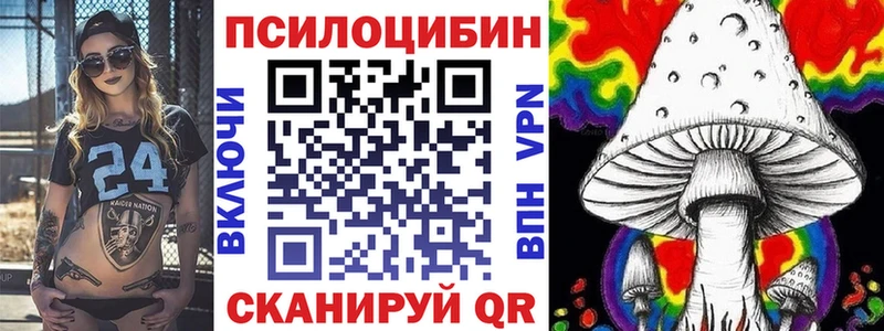 Купить  Киреевск  Псилоцибиновые грибы Psilocybine cubensis 
